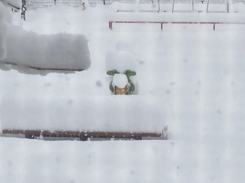 公園の雪