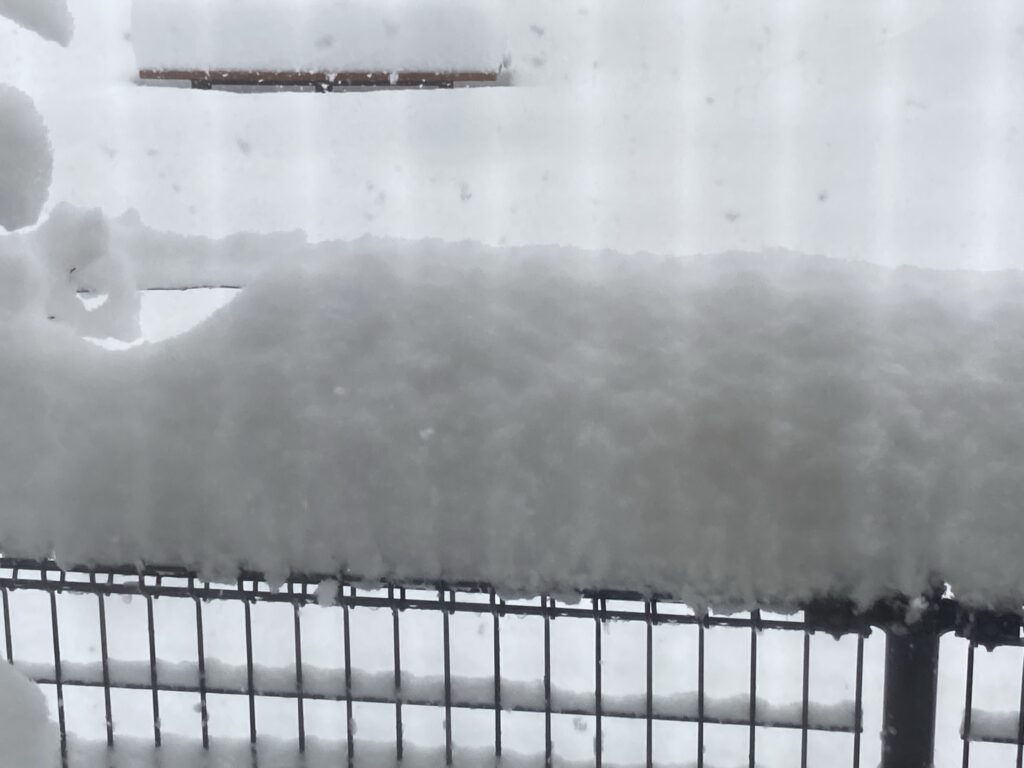 柵に積もった雪